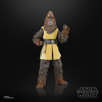 Star Wars - The Acolyte Black Series Action Figure - Jedi Master Kelnacca