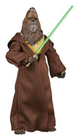 Star Wars - The Acolyte Black Series Action Figure - Jedi Master Kelnacca