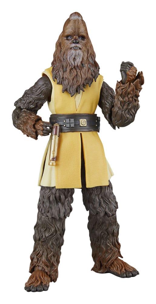 Star Wars - The Acolyte Black Series Action Figure - Jedi Master Kelnacca