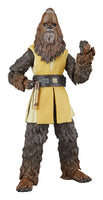 Star Wars - The Acolyte Black Series Action Figure - Jedi Master Kelnacca