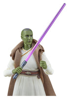 Star Wars - The Acolyte Black Series Action Figure - Jedi Master Vernestra Rwoh