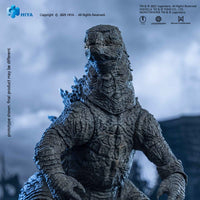 Godzilla 2014 Exquisite Basic+ Action Figure Godzilla Translucent Ver. 18 cm