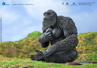 Godzilla - Godzilla x Kong: The New Empire Exquisite Basic Action Figure - Kong