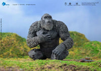 Godzilla - Godzilla x Kong: The New Empire Exquisite Basic Action Figure - Kong