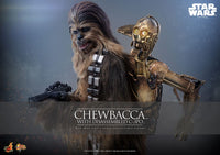 Star Wars - Episode V Movie Masterpiece Action Figure 1/6 - Chewbacca with Disassembled C-3PO