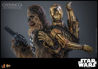 Star Wars - Episode V Movie Masterpiece Action Figure 1/6 - Chewbacca with Disassembled C-3PO