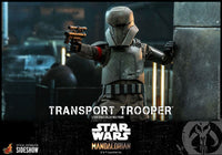 Star Wars - The Mandalorian Action Figure 1/6 - Transport Trooper