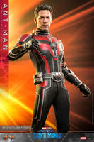 Ant-Man & The Wasp: Quantumania Movie Masterpiece Action Figure 1/6 Ant-Man 30 cm