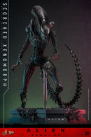 Alien: Romulus Movie Masterpiece Action Figure 1/6 Scorched Xenomorph 44 cm