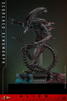 Alien: Romulus Movie Masterpiece Action Figure 1/6 Scorched Xenomorph 44 cm