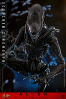 Alien: Romulus Movie Masterpiece Action Figure 1/6 Scorched Xenomorph 44 cm