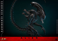 Alien: Romulus Movie Masterpiece Action Figure 1/6 Scorched Xenomorph 44 cm