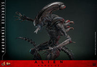 Alien: Romulus Movie Masterpiece Action Figure 1/6 Scorched Xenomorph 44 cm