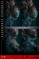 Alien: Romulus Movie Masterpiece Action Figure 1/6 Scorched Xenomorph 44 cm