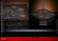 Alien: Romulus Movie Masterpiece Action Figure 1/6 Scorched Xenomorph 44 cm