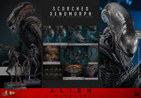 Alien: Romulus Movie Masterpiece Action Figure 1/6 Scorched Xenomorph 44 cm