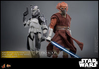 Star Wars - Movie Masterpiece Action Figure 1/6 - Plo Koon