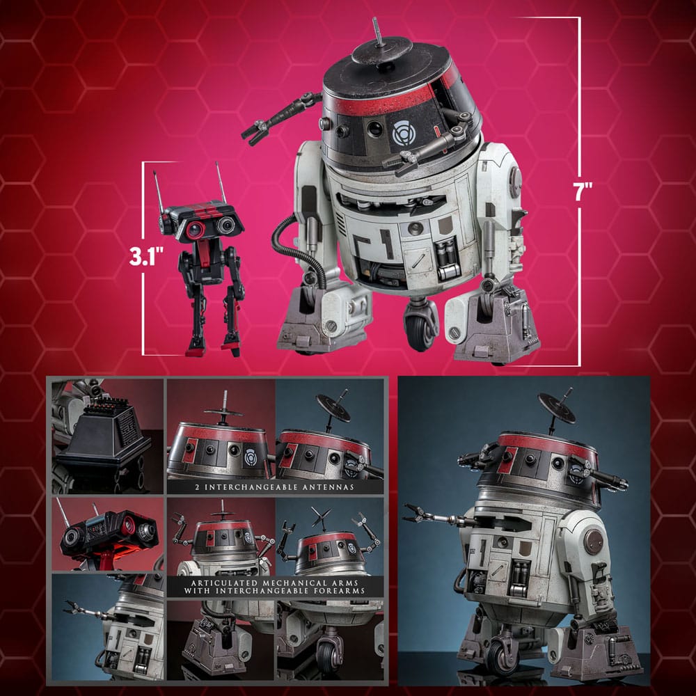 Star Wars Action Figure Set 1/6 Chopper (C1-10P&trade;) & BD-1&trade; (Imperial Disguise) 18 cm & 8 cm
