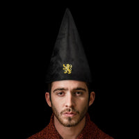 Harry Potter Student Hat Gryffindor 32 cm