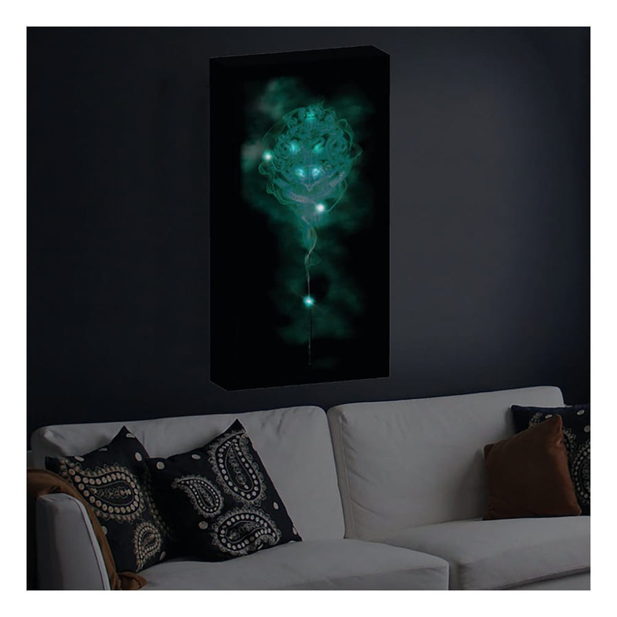 Harry Potter Canvas Poster (With Light)