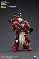 Warhammer 40K - Action Figure 1/18 - Blood Angels Veteran Laenatus