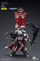 Warhammer 40k Action Figure 1/18 Grey Knights Castellan Crowe 12 cm