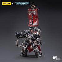 Warhammer 40k Action Figure 1/18 Grey Knights Castellan Crowe 12 cm