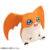 Patamon (Digimon Adventure) Look Up