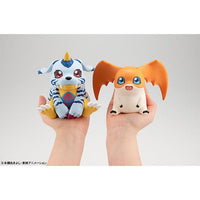 Patamon (Digimon Adventure) Look Up