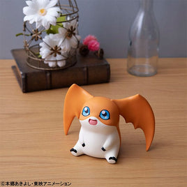 Patamon (Digimon Adventure) Look Up