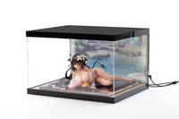 Azur Lane Acrylic Display Case with Lighting for figure Kashino Hot Springs Relaxation