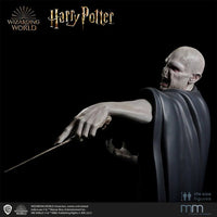 Harry Potter and the Deathly Hallows Life-Size Statue Voldemort 211 cm