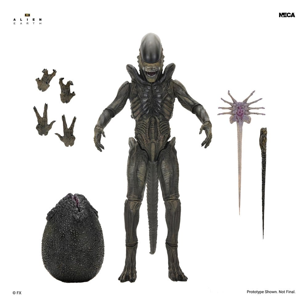 Alien: Earth Ultimate Action Figure Xenomorph 18 cm
