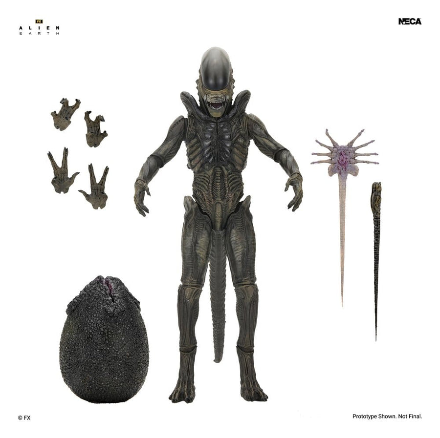 Alien: Earth Ultimate Action Figure Xenomorph 18 cm