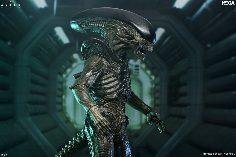 Alien: Earth Ultimate Action Figure Xenomorph 18 cm