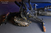 Alien: Romulus Action Figure Deluxe Suspended Lab Xenomorph XX121 18 cm