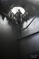 Alien: Romulus Action Figure Deluxe Suspended Lab Xenomorph XX121 18 cm