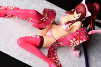 Erza Scarlet (Fairy Tail) Cherry Blossom Tiger Cat Gravure Style