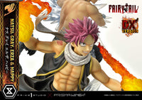 Natsu, Gray, Erza, Happy (Fairy Tail) Deluxe Version