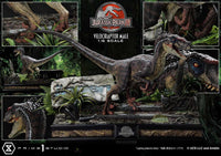 Jurassic Park III - Legacy Museum Collection Statue 1/6 - Velociraptor Male Bonus Version