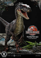 Jurassic Park III - Legacy Museum Collection Statue 1/6 - Velociraptor Male Bonus Version