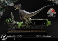 Jurassic Park III - Legacy Museum Collection Statue 1/6 - Velociraptor Male Bonus Version