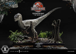 Jurassic Park III - Legacy Museum Collection Statue 1/6 - Velociraptor Female Bonus Version