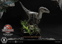 Jurassic Park III - Legacy Museum Collection Statue 1/6 - Velociraptor Female Bonus Version