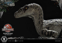 Jurassic Park III - Legacy Museum Collection Statue 1/6 - Velociraptor Female Bonus Version