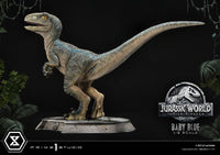 Jurassic World: Fallen Kingdom Prime Collectibles Statue 1/2 Baby Blue 34 cm