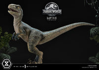 Jurassic World: Fallen Kingdom Prime Collectibles Statue 1/2 Baby Blue 34 cm