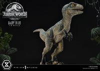 Jurassic World: Fallen Kingdom Prime Collectibles Statue 1/2 Baby Blue 34 cm