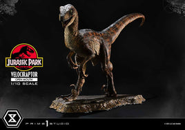 Jurassic Park - Prime Collectibles Statue 1/10 - Velociraptor Open Mouth