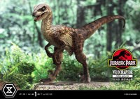 Jurassic Park - Prime Collectibles Statue 1/10 - Velociraptor Open Mouth